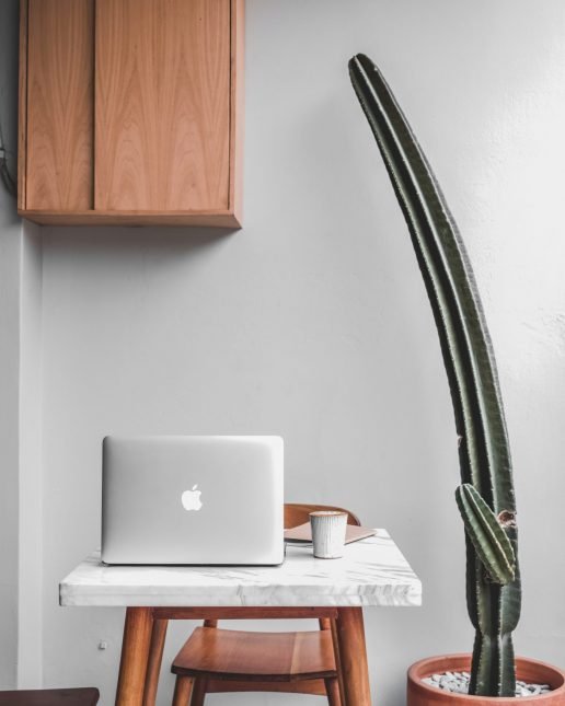 Wabi Sabi Design Cactus
