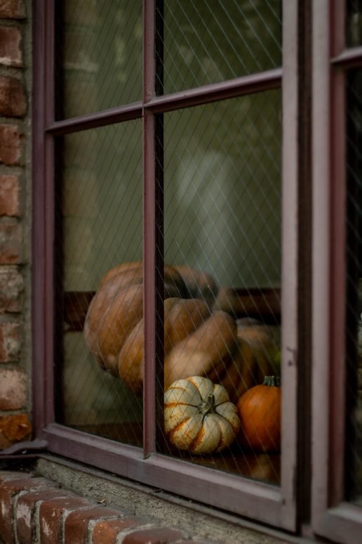 pumpkin seed oil pumpkins in a window